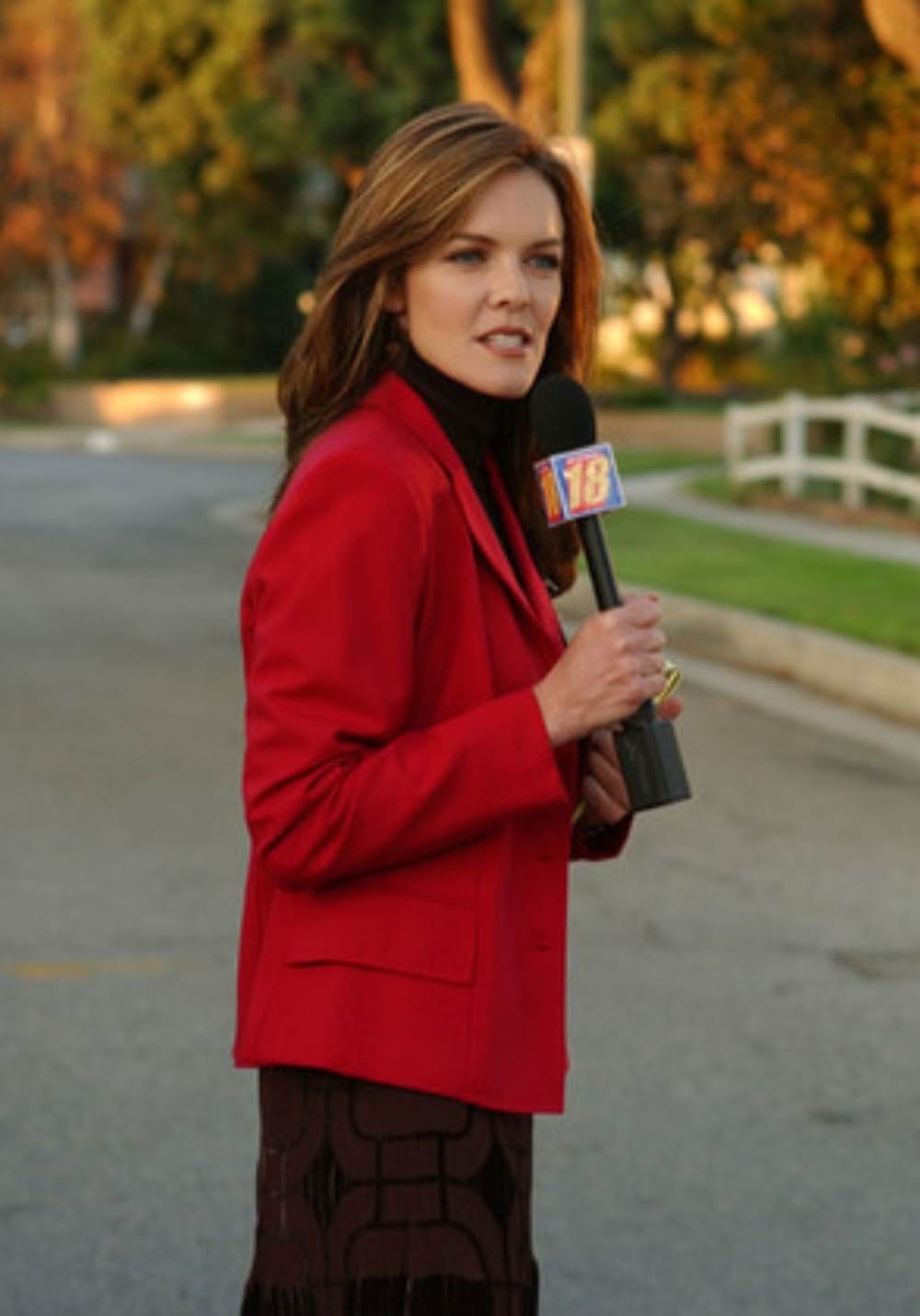 コンバッションの画像