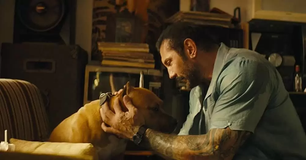 ストゥーバーの画像