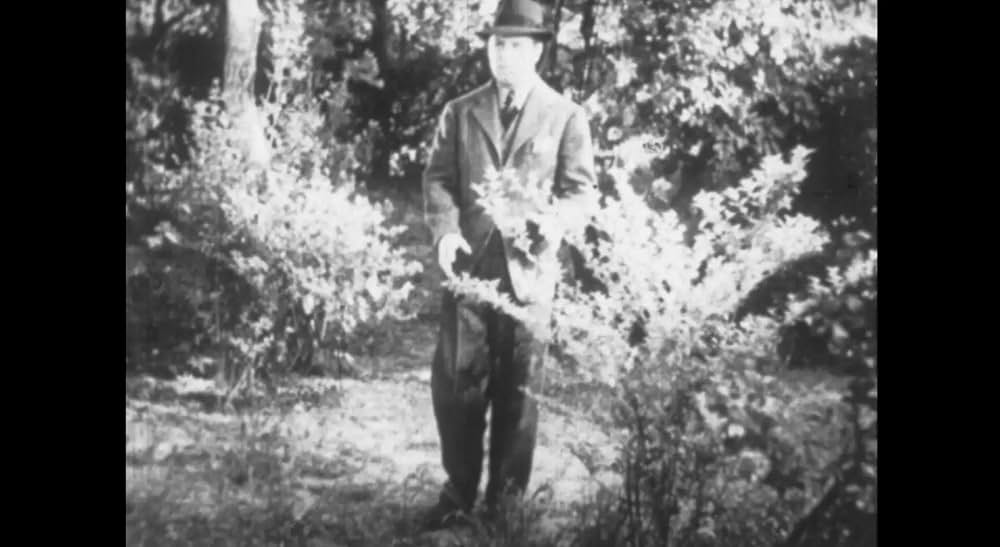 ファントム・クリープス ゾルカ博士の野望の画像