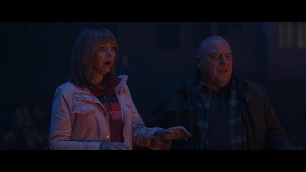 ザ・ペアレンティング / 幽霊の棲む家の画像