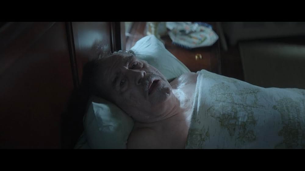 ザ・ペアレンティング / 幽霊の棲む家の画像