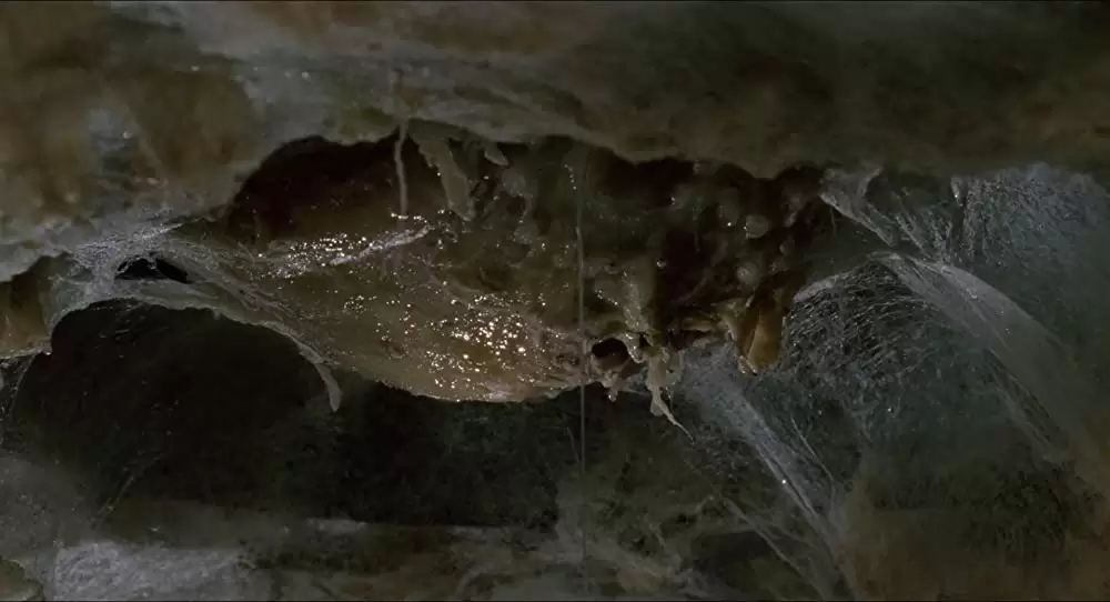 スーパーマリオ／魔界帝国の女神の画像