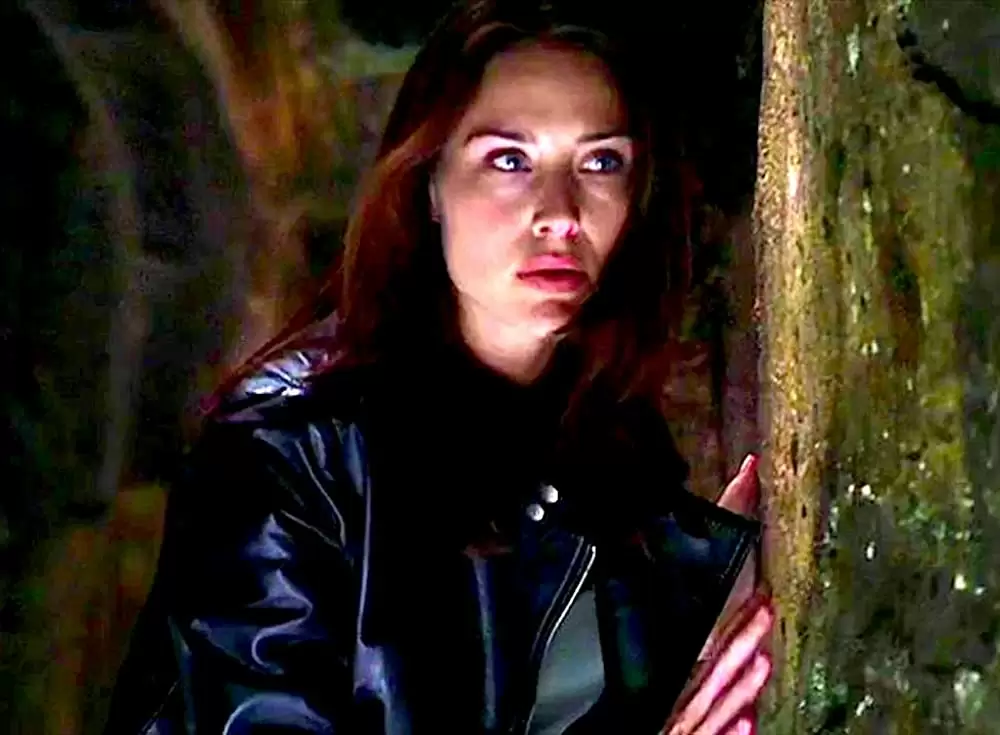 メダリオンの画像