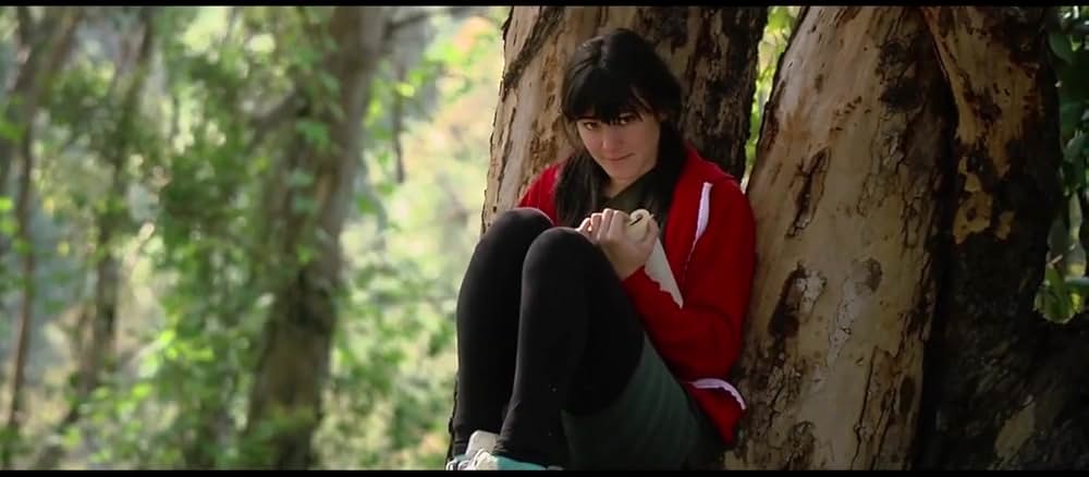 A Big Love Story（原題）の画像