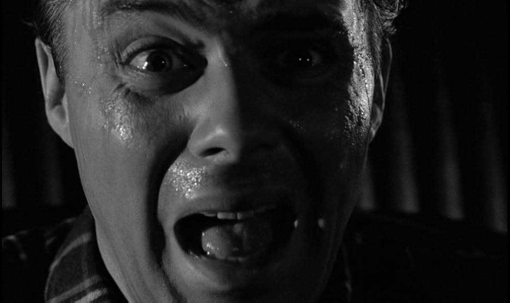 Cast a Dark Shadow（原題）の画像