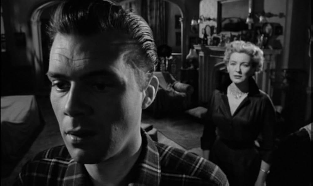 Cast a Dark Shadow（原題）の画像