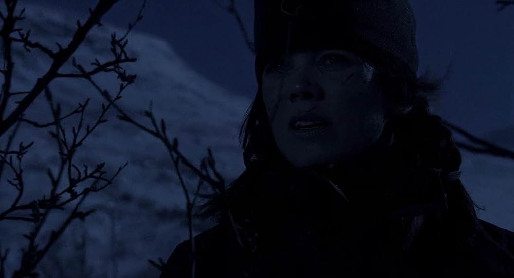 処刑山 -デッド・スノウ-の画像