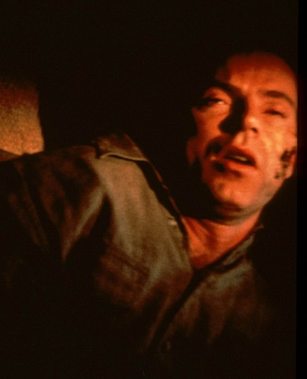 サイバー・コンパニオンの画像