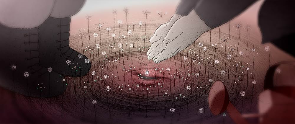 パープルボーイ/ Purpleboyの写真