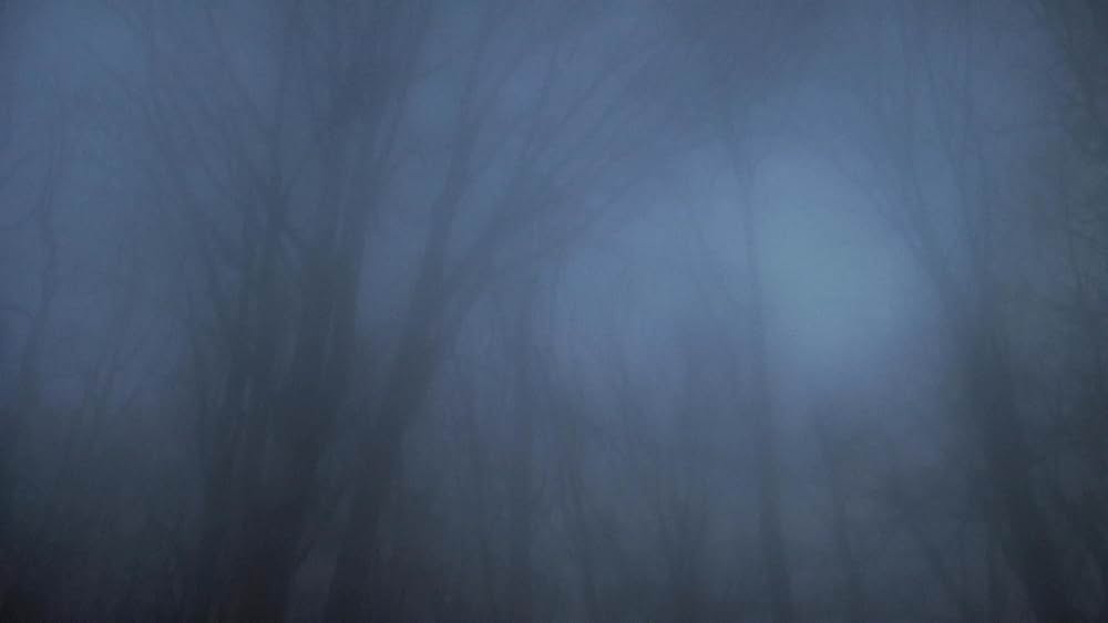 Toad Road（原題）の画像