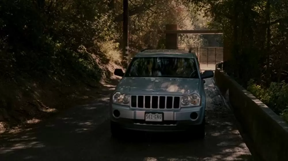 ストレンジャー・コールの画像