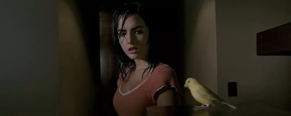 ストレンジャー・コールの画像