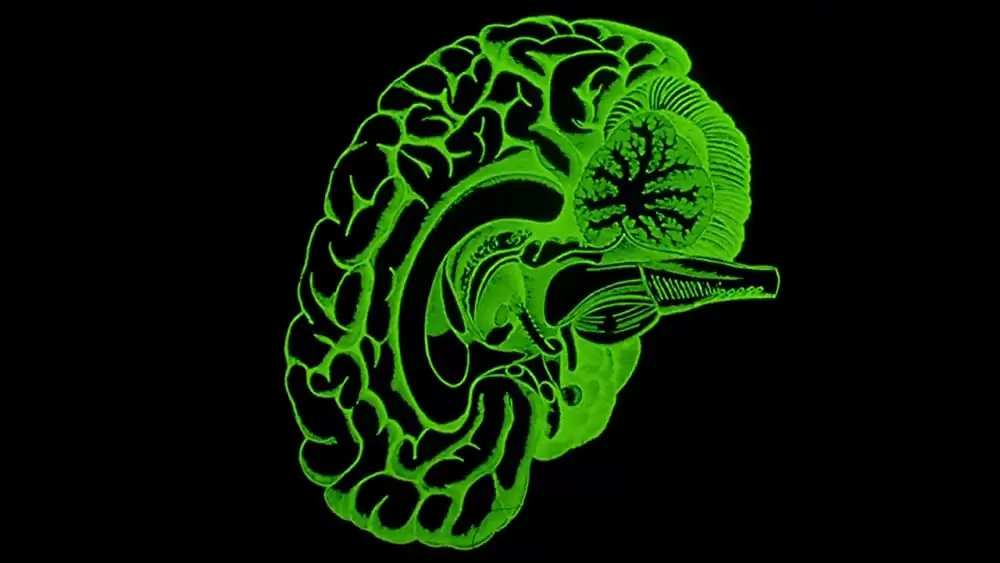 ZOMBIO（ゾンバイオ）／死霊のしたたりの画像