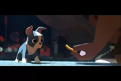 愛犬とごちそうの画像