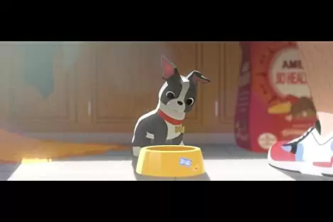 愛犬とごちそうの画像