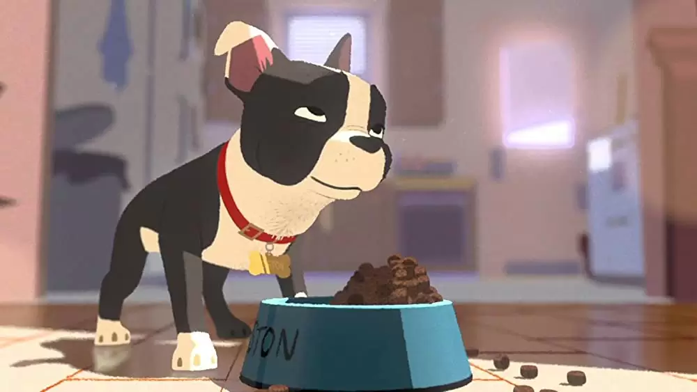 愛犬とごちそうの画像