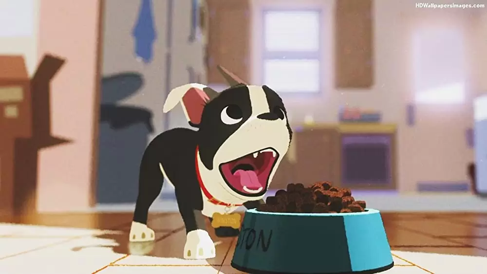 愛犬とごちそうの画像