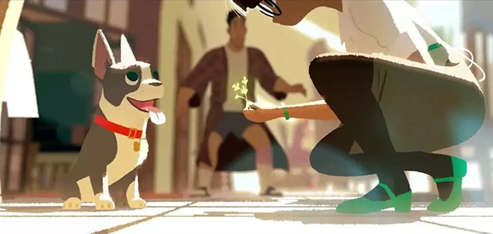 愛犬とごちそうの画像