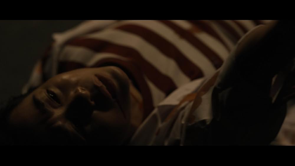 The Grove（原題）の画像