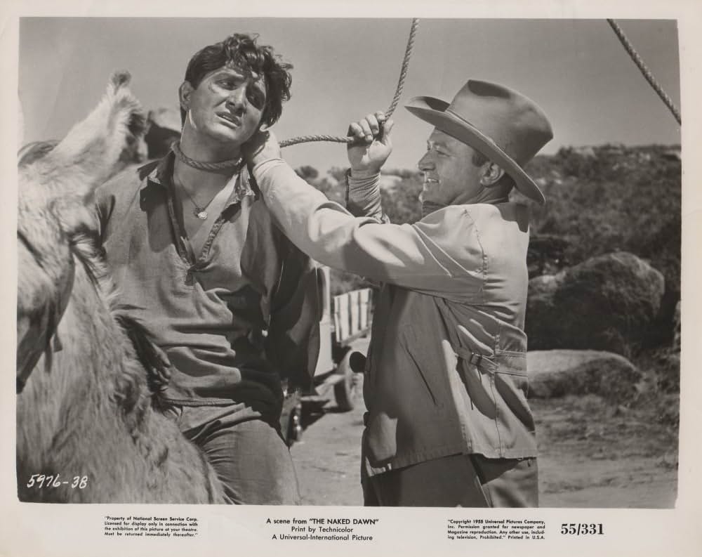 裸の夜明けの画像