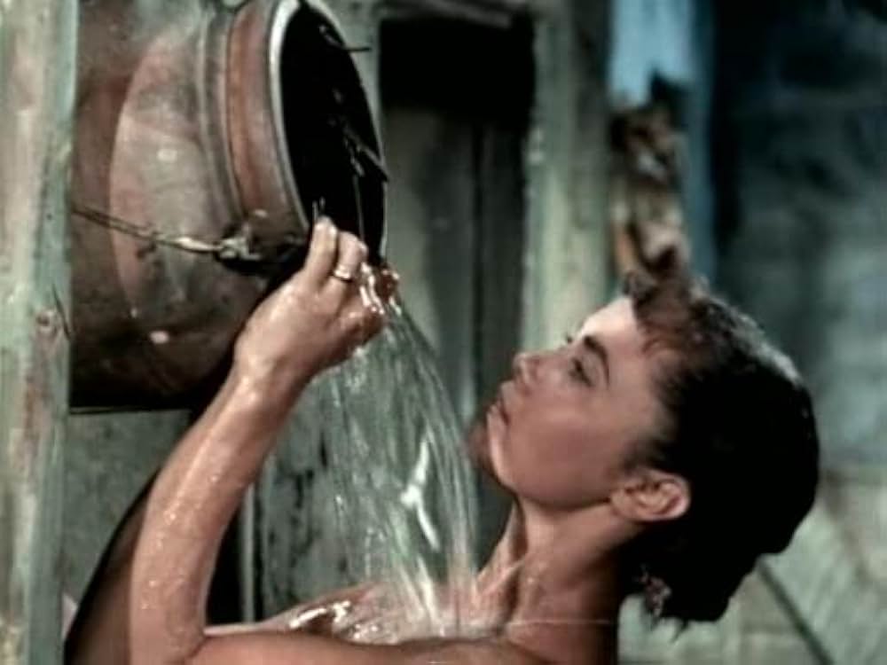 裸の夜明けの画像