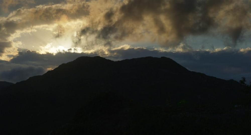 Zombi Child（原題）の画像