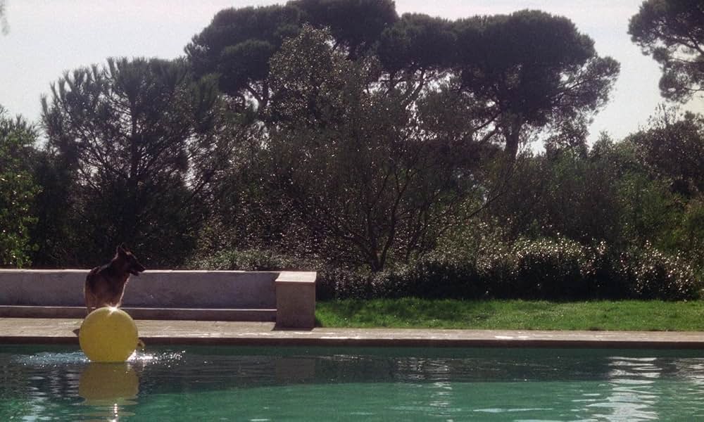 夜明けのマルジュの画像