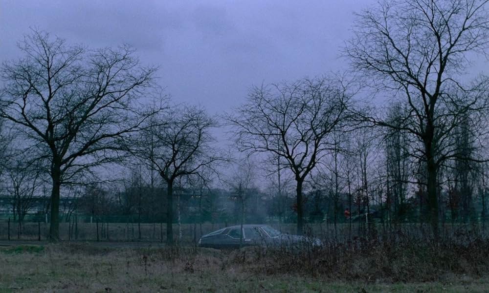 夜明けのマルジュの画像