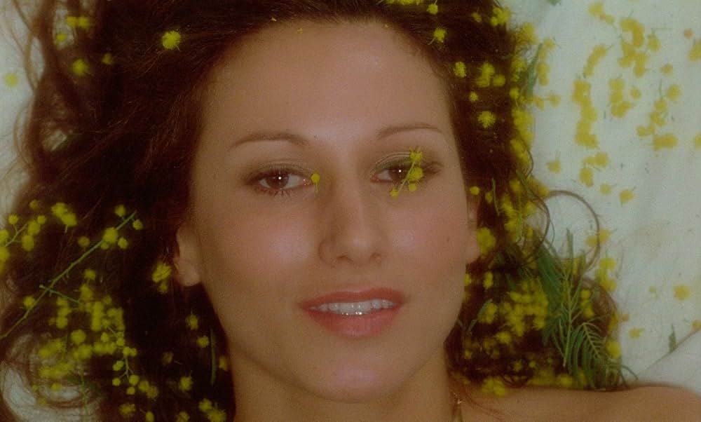 夜明けのマルジュの画像