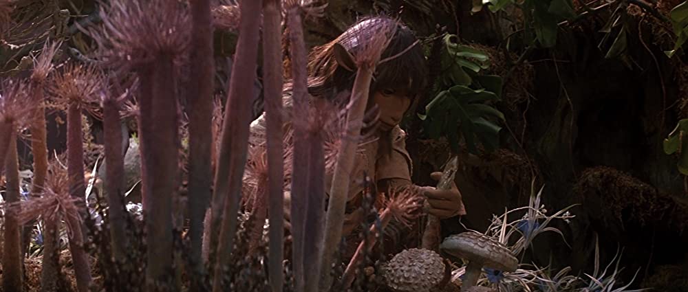 ダーククリスタルの画像