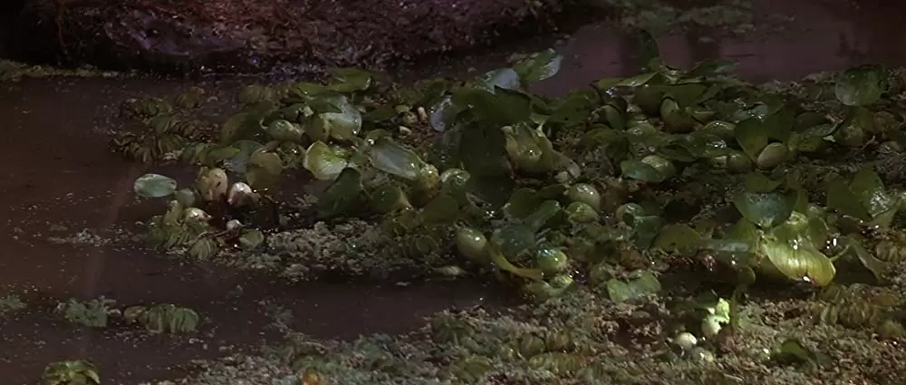 ダーククリスタルの画像