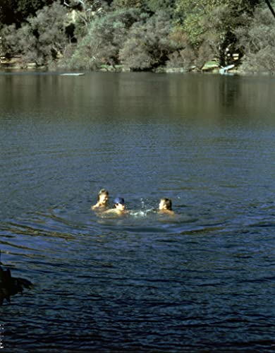 13日の金曜日・完結編の画像