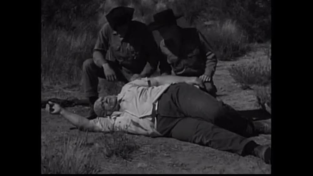 ユッカフラッツの野獣の画像