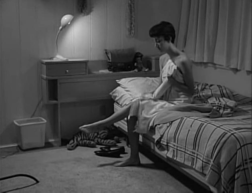 ユッカフラッツの野獣の画像