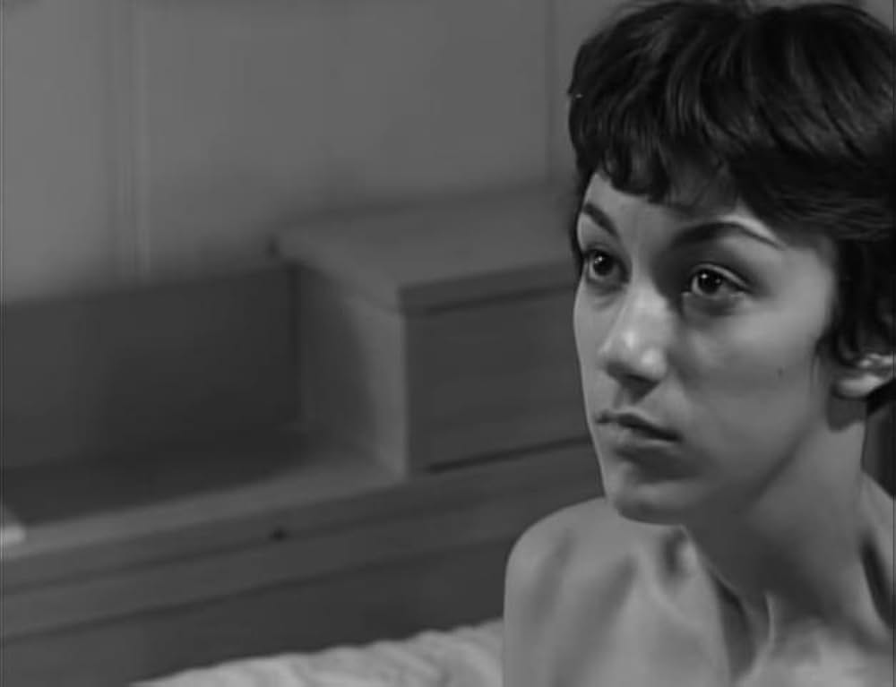 ユッカフラッツの野獣の画像