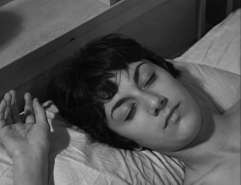 ユッカフラッツの野獣の画像