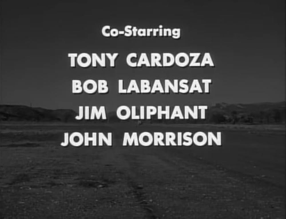 ユッカフラッツの野獣の画像