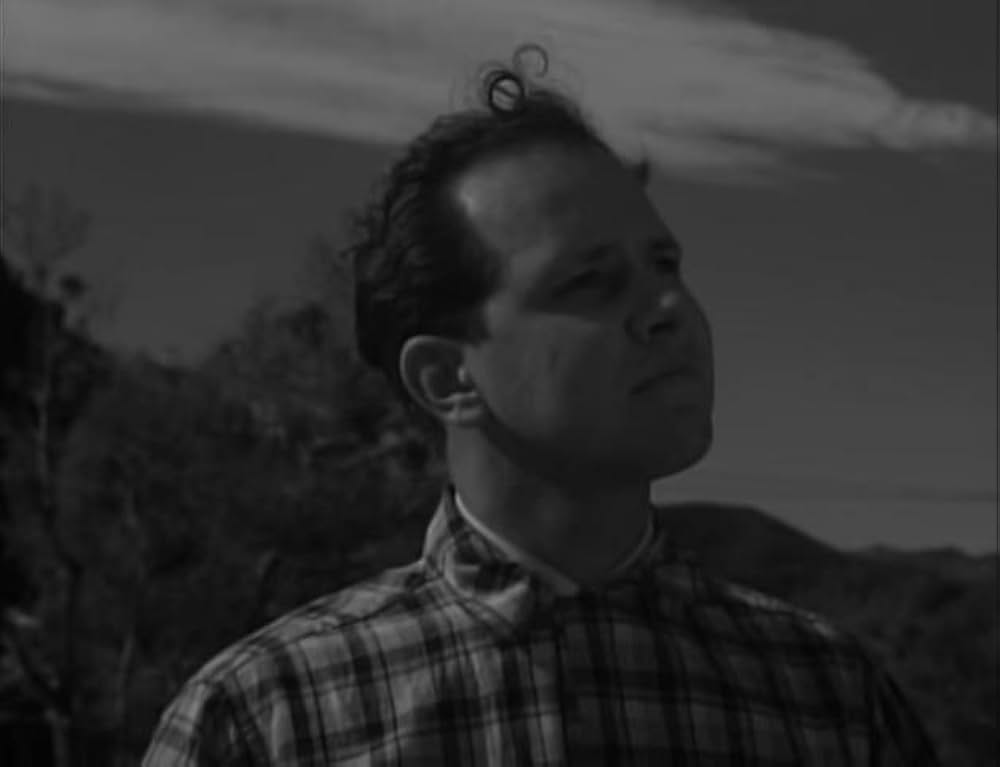 ユッカフラッツの野獣の画像