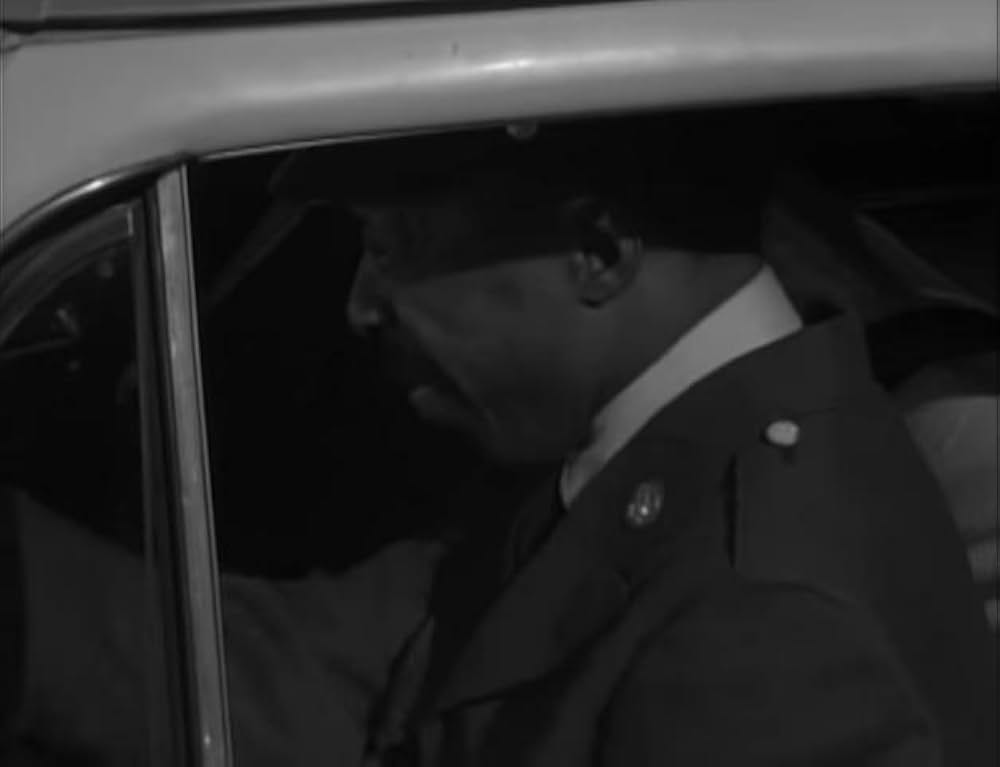 ユッカフラッツの野獣の画像