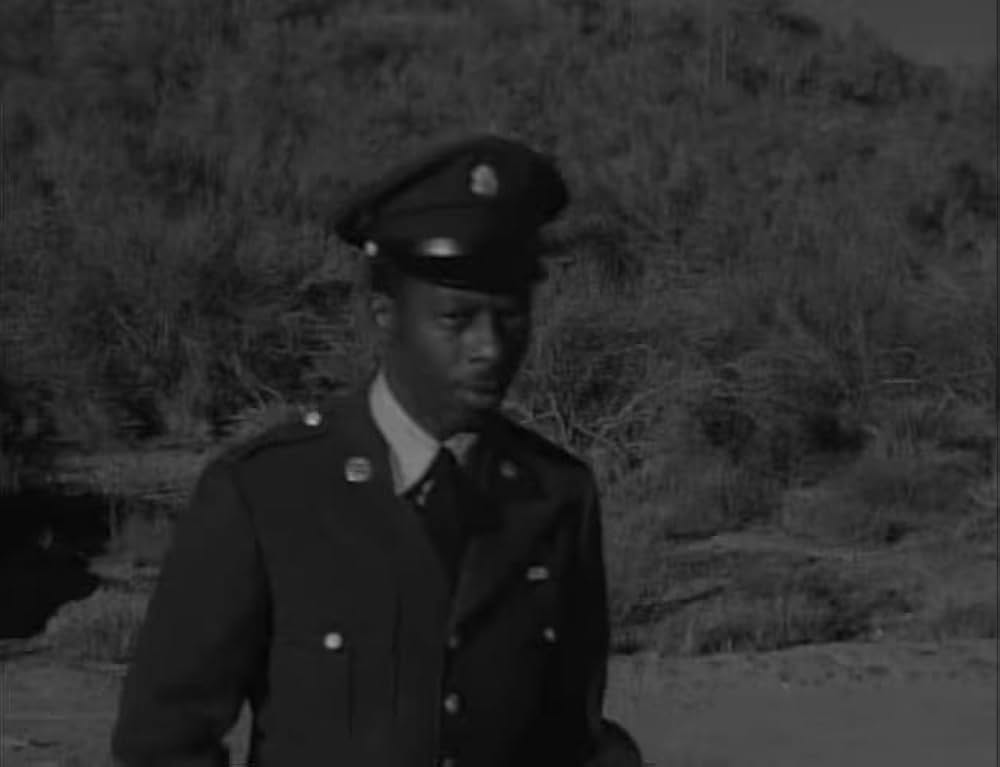 ユッカフラッツの野獣の画像