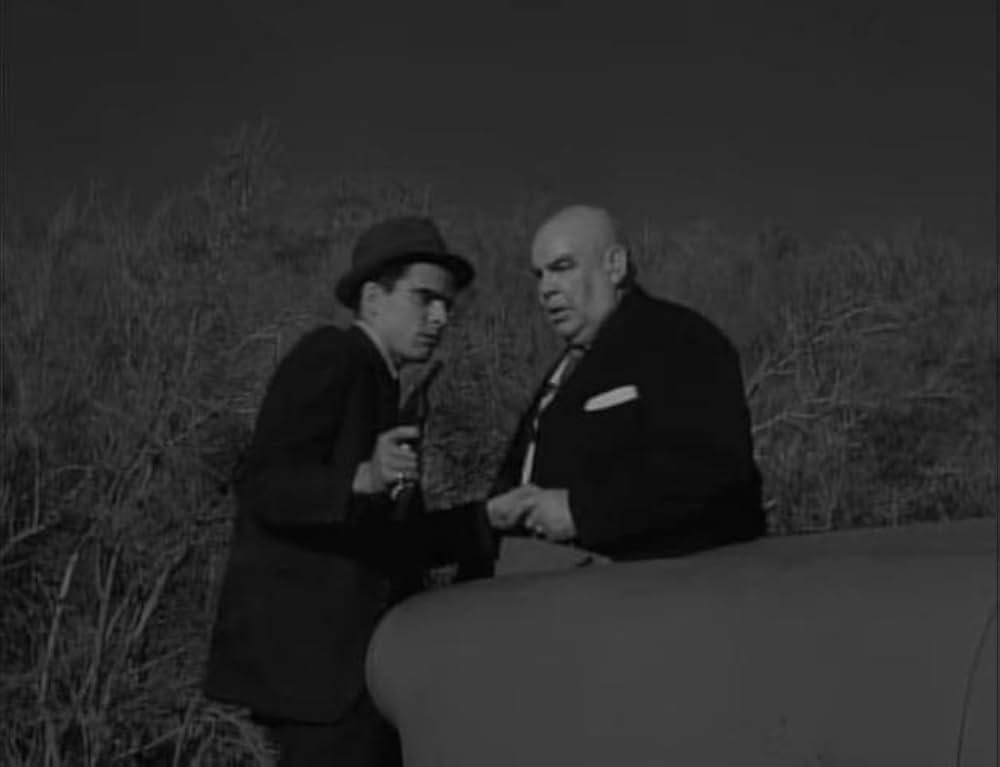 ユッカフラッツの野獣の画像