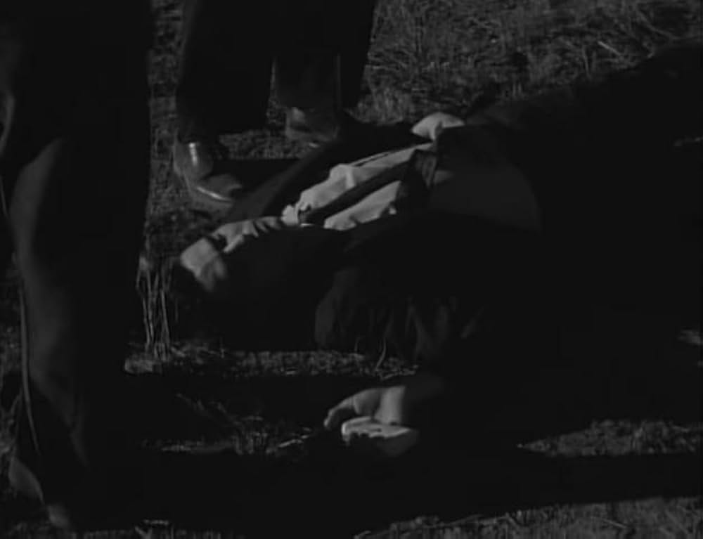 ユッカフラッツの野獣の画像