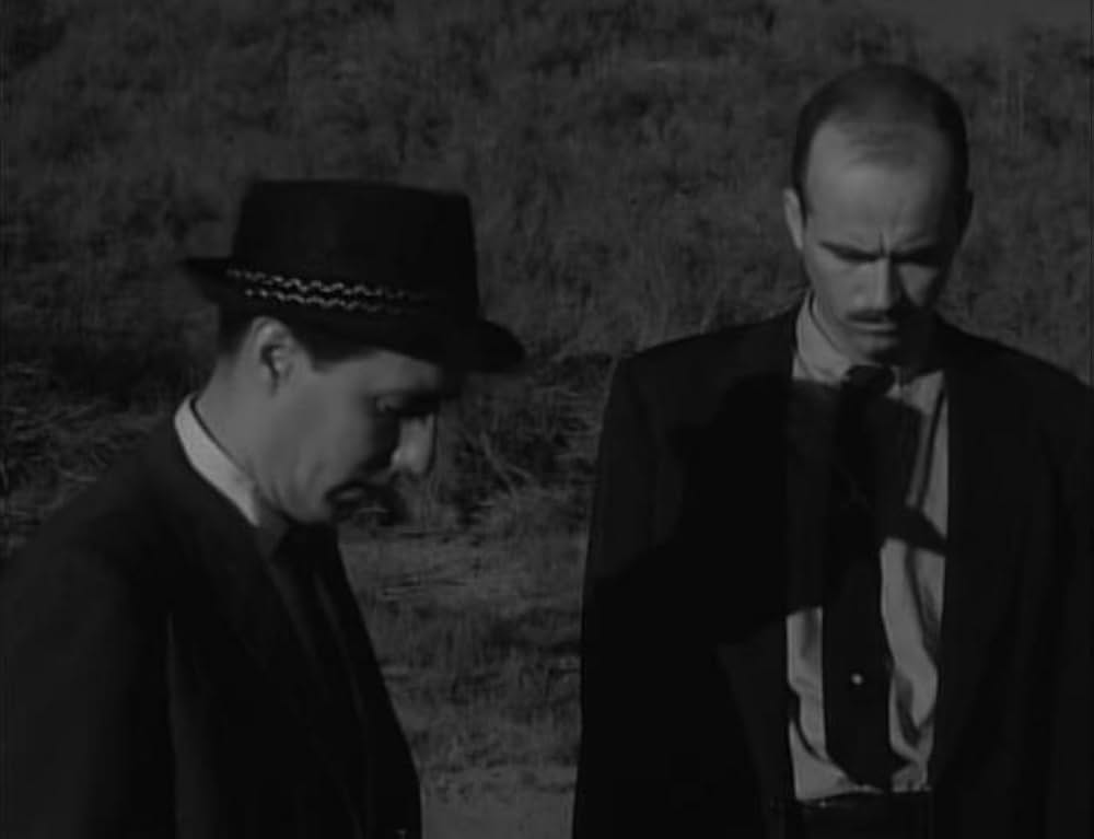 ユッカフラッツの野獣の画像