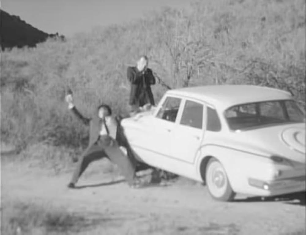 ユッカフラッツの野獣の画像