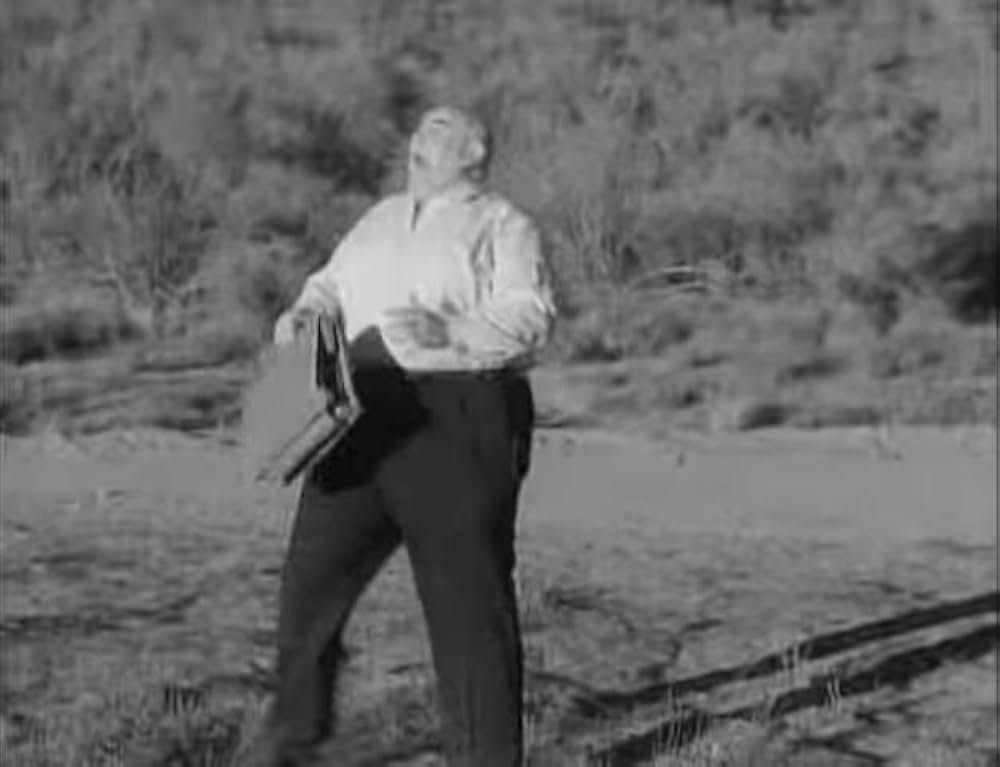 ユッカフラッツの野獣の画像