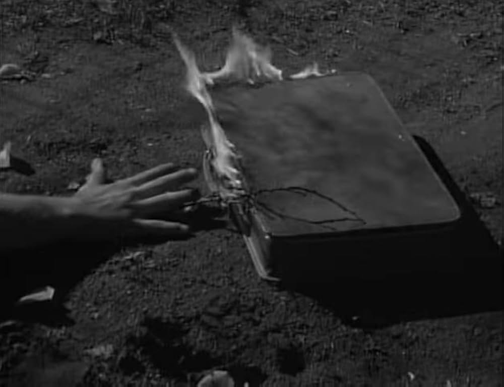 ユッカフラッツの野獣の画像