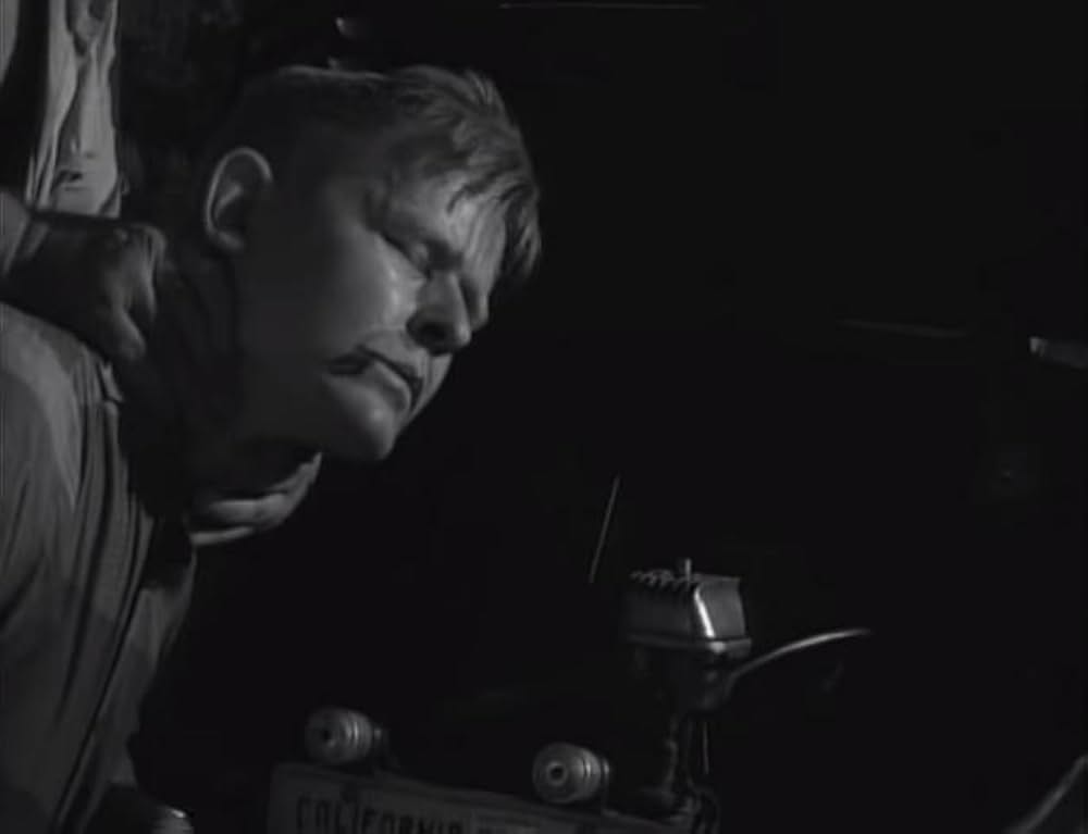 ユッカフラッツの野獣の画像