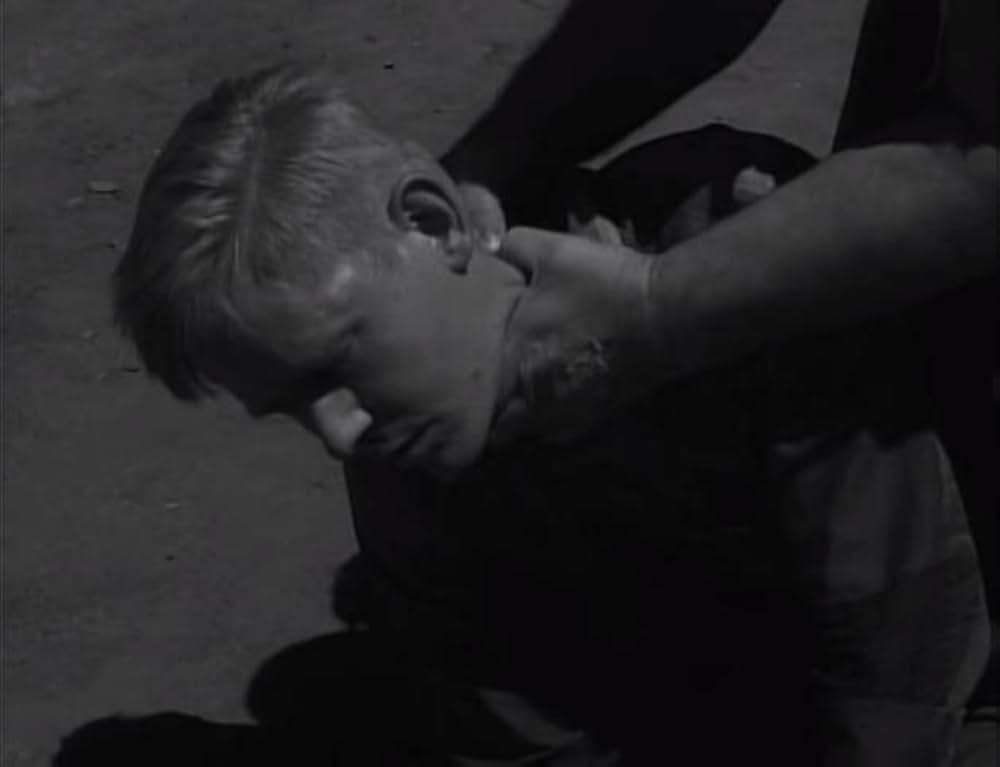 ユッカフラッツの野獣の画像