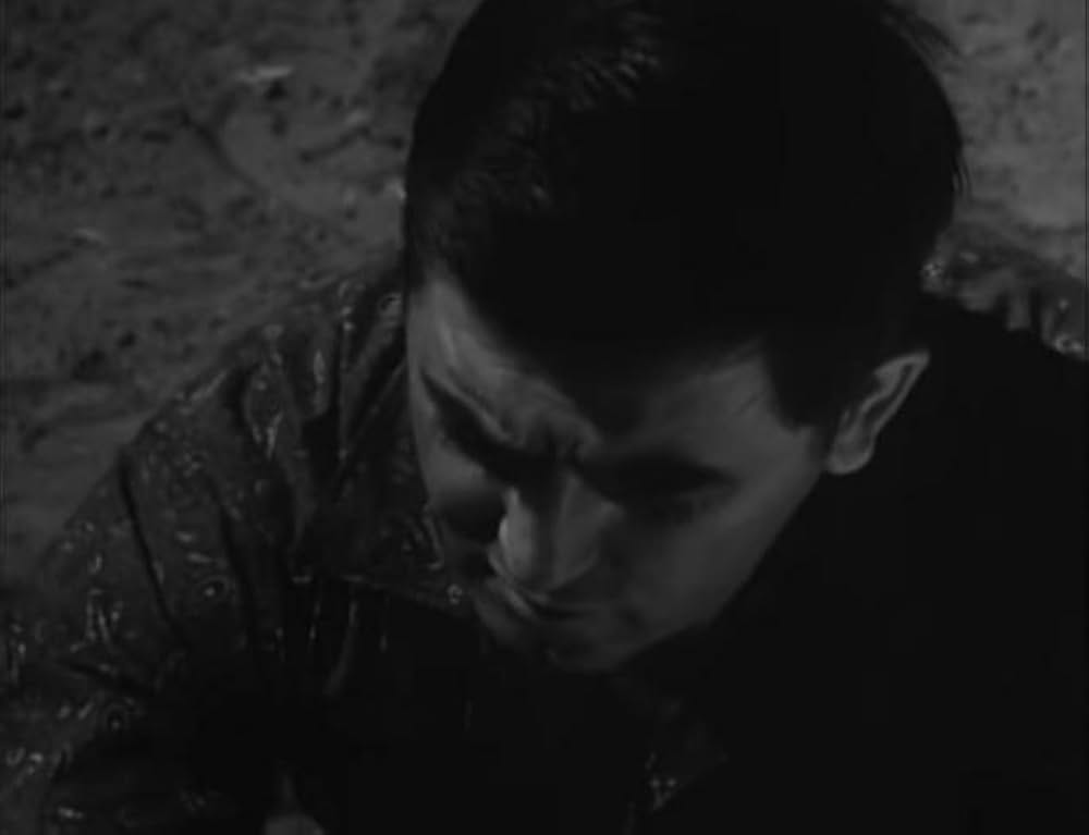 ユッカフラッツの野獣の画像