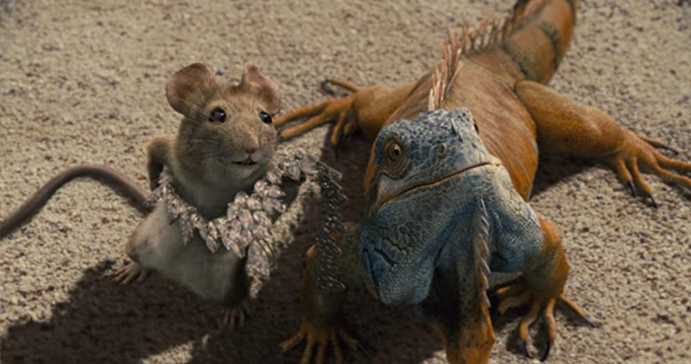 ビバリーヒルズ・チワワの画像